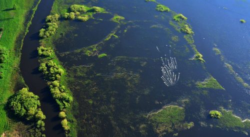 32525977_789625687898864_4641586287956983808_n